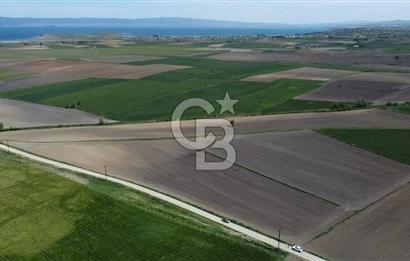 ÇANAKKALE GELİBOLU BOLAYIR SATILIK 4400 M2 ARAZİ