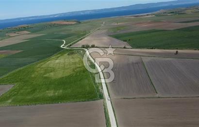 ÇANAKKALE GELİBOLU BOLAYIR SATILIK 4400 M2 ARAZİ