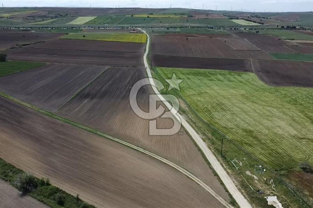 ÇANAKKALE GELİBOLU BOLAYIR SATILIK 4400 M2 ARAZİ