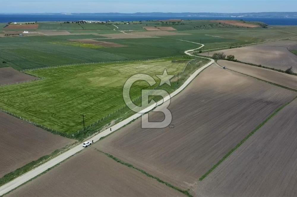 ÇANAKKALE GELİBOLU BOLAYIR SATILIK 4400 M2 ARAZİ
