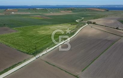 ÇANAKKALE GELİBOLU BOLAYIR SATILIK 4400 M2 ARAZİ