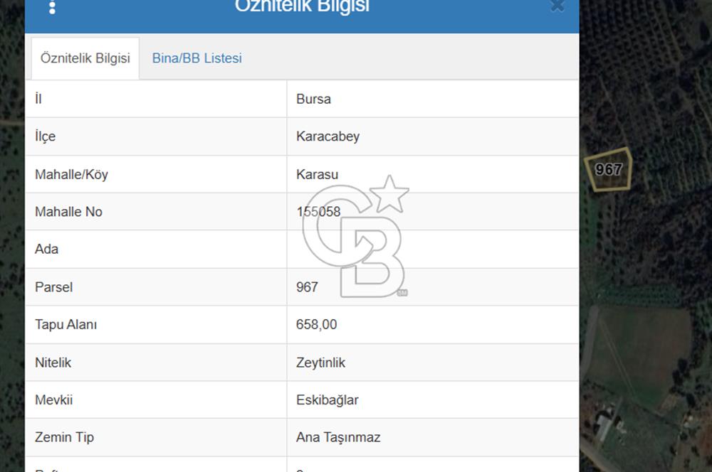 BURSA KARACABEY KARASU MAHALLESİ SATILIK TEK TAPU ZEYTİNLİK