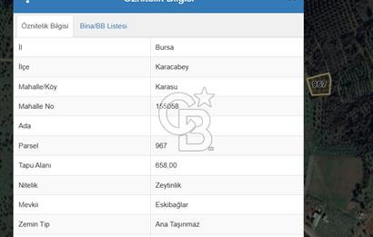 BURSA KARACABEY KARASU MAHALLESİ SATILIK TEK TAPU ZEYTİNLİK
