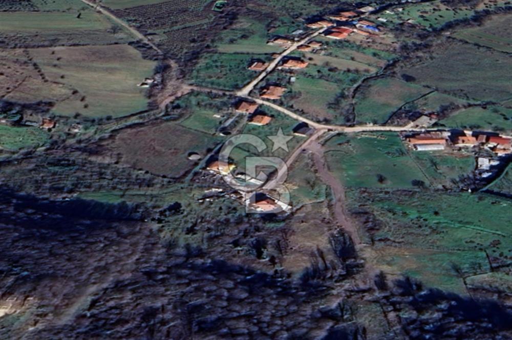 YALOVA ÇİFTLİKKÖY LALEDERE KÖYÜNDE YATIRIMA UYGUN SATILIK HİSSE