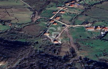YALOVA ÇİFTLİKKÖY LALEDERE KÖYÜNDE YATIRIMA UYGUN SATILIK HİSSE