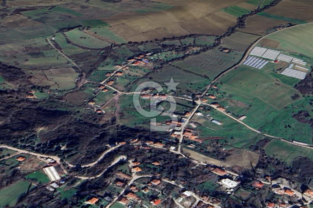 YALOVA ÇİFTLİKKÖY LALEDERE KÖYÜNDE YATIRIMA UYGUN SATILIK HİSSE