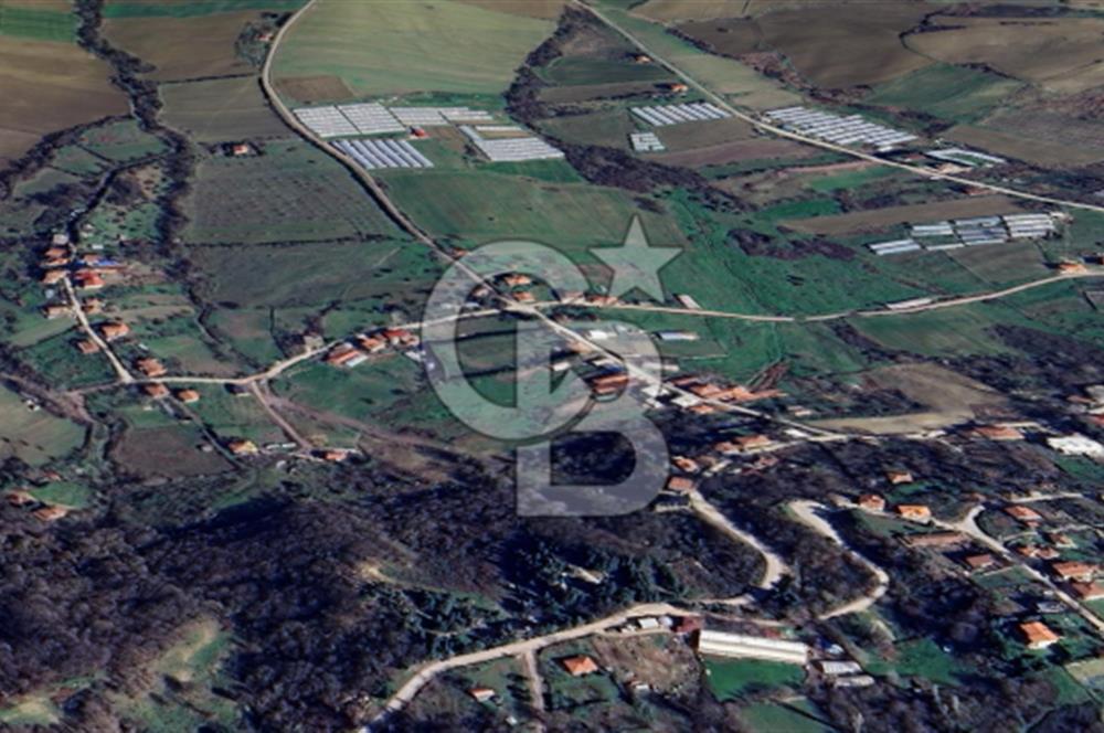 YALOVA ÇİFTLİKKÖY LALEDERE KÖYÜNDE YATIRIMA UYGUN SATILIK HİSSE