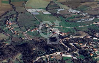 YALOVA ÇİFTLİKKÖY LALEDERE KÖYÜNDE YATIRIMA UYGUN SATILIK HİSSE