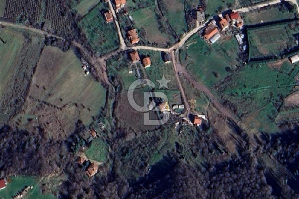 YALOVA ÇİFTLİKKÖY LALEDERE KÖYÜNDE YATIRIMA UYGUN SATILIK HİSSE