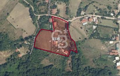 YALOVA ÇİFTLİKKÖY LALEDERE KÖYÜNDE YATIRIMA UYGUN SATILIK HİSSE