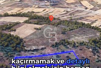 Balıkesir Dursunbey Mıcırlar'da Yatırım Fırsatı