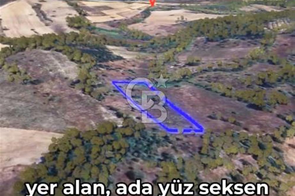 Balıkesir Dursunbey Mıcırlar'da Yatırım Fırsatı
