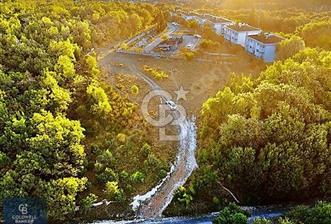 Çatalca Yalıköyde 459 m² Satılık Arsa Yatırımlık Fırsat!