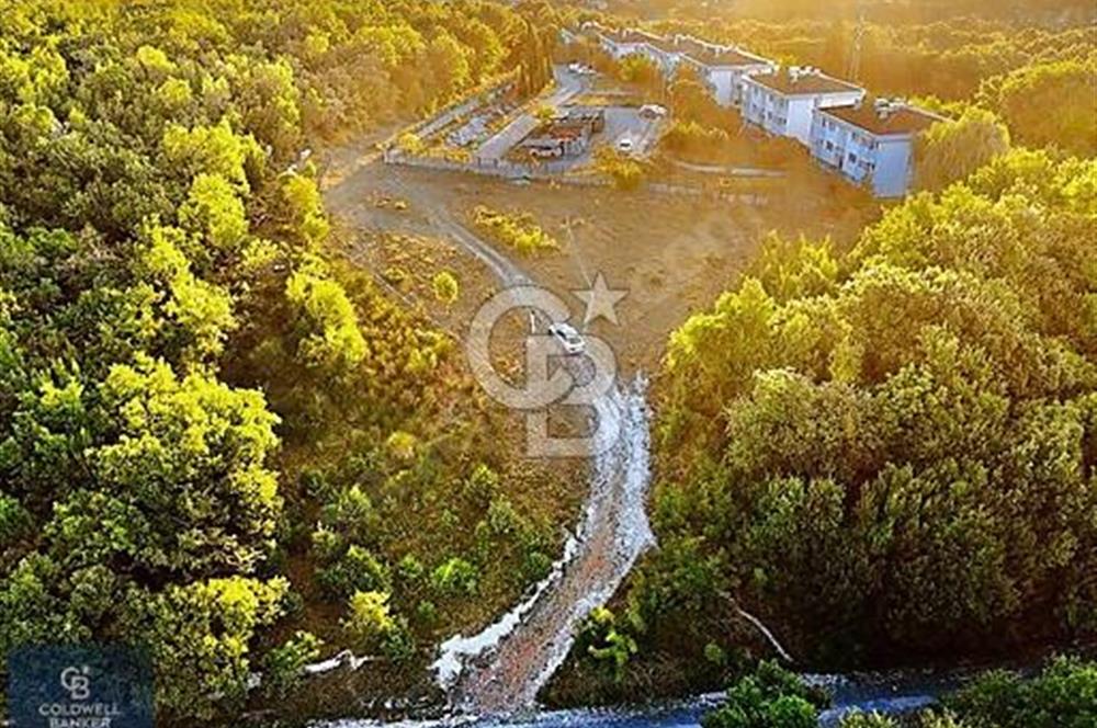 Çatalca Yalıköyde 459 m² Satılık Arsa Yatırımlık Fırsat!