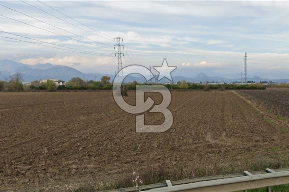 ANTALYA SERİK D-400 YOLUNA SIFIR SATILIK TARLA