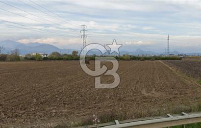 ANTALYA SERİK D-400 YOLUNA SIFIR SATILIK TARLA