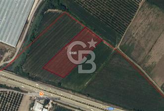 ANTALYA SERİK D-400 YOLUNA SIFIR SATILIK TARLA