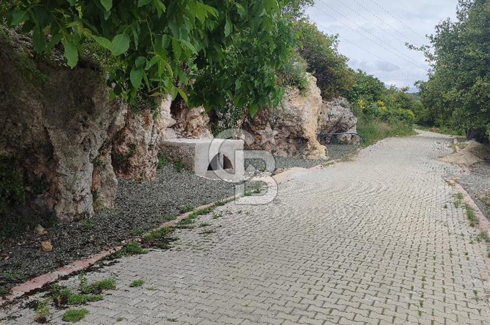 YOLA CEPHELİ PARK'A KOMŞU İMARLI ARSA