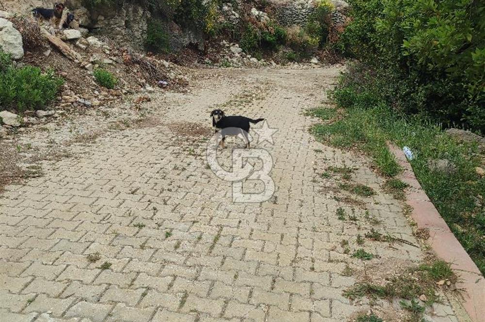 YOLA CEPHELİ PARK'A KOMŞU İMARLI ARSA