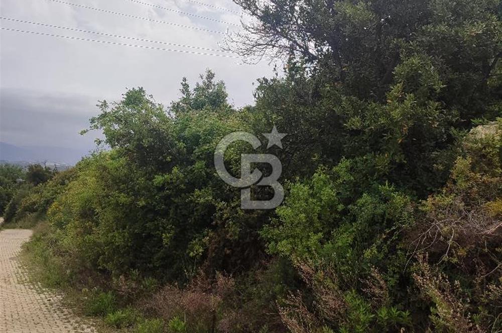 YOLA CEPHELİ PARK'A KOMŞU İMARLI ARSA