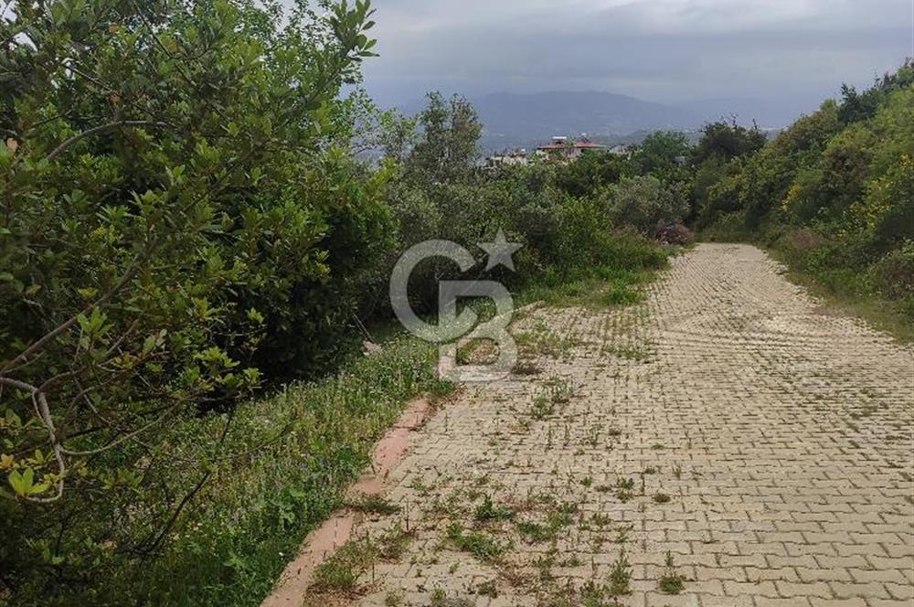 YOLA CEPHELİ PARK'A KOMŞU İMARLI ARSA