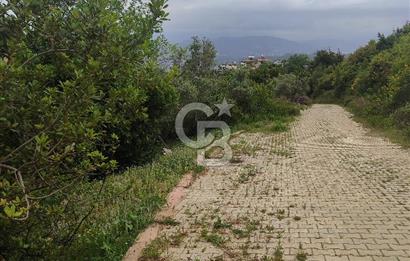YOLA CEPHELİ PARK'A KOMŞU İMARLI ARSA