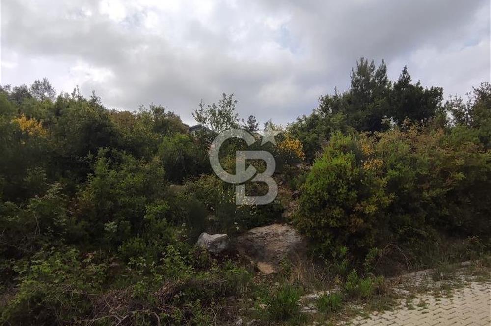 YOLA CEPHELİ PARK'A KOMŞU İMARLI ARSA