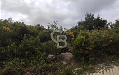 YOLA CEPHELİ PARK'A KOMŞU İMARLI ARSA