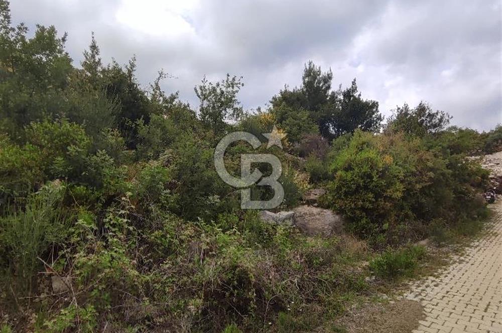 YOLA CEPHELİ PARK'A KOMŞU İMARLI ARSA