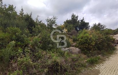 YOLA CEPHELİ PARK'A KOMŞU İMARLI ARSA