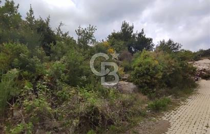 YOLA CEPHELİ PARK'A KOMŞU İMARLI ARSA