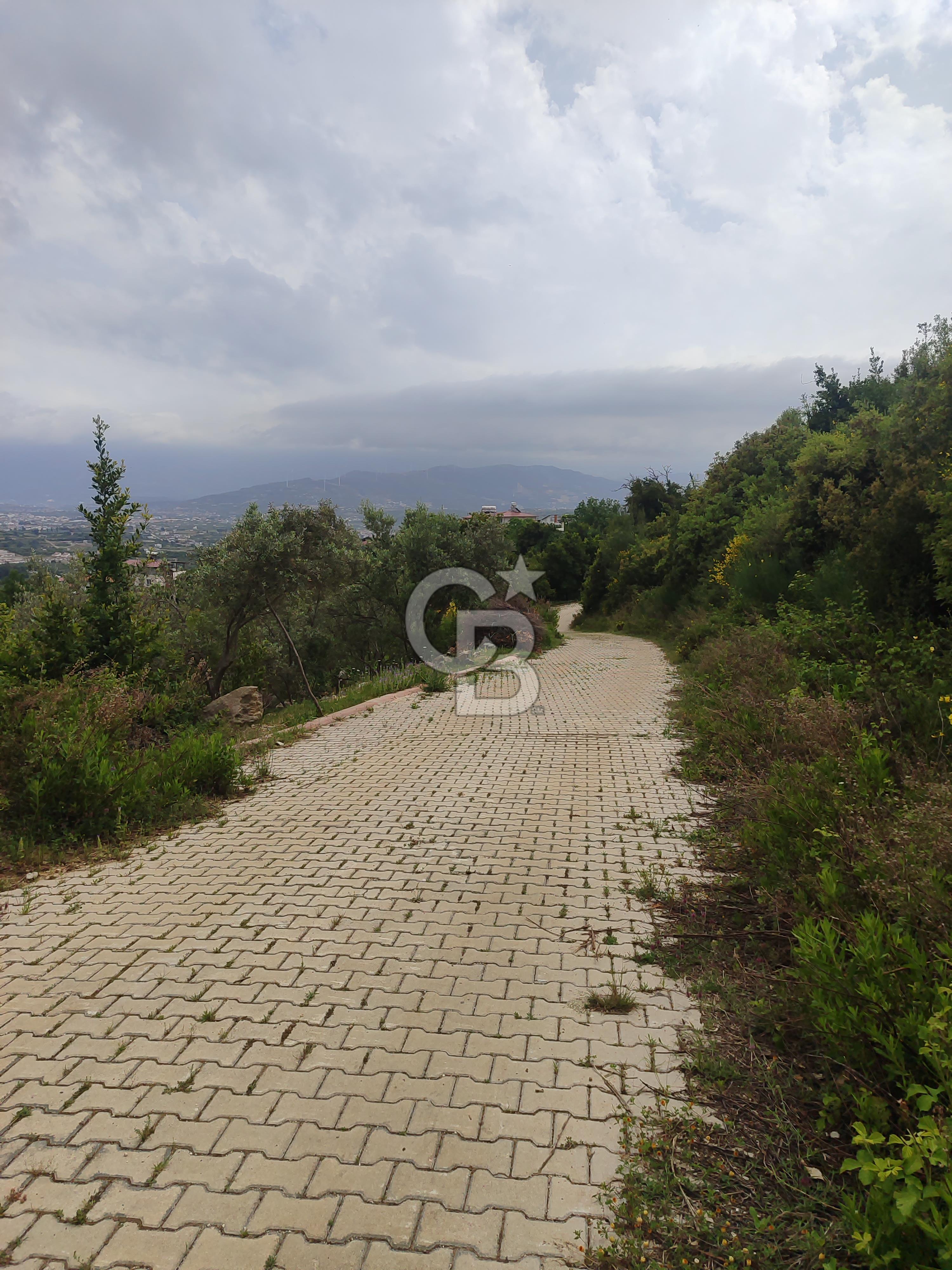 YOLA CEPHELİ PARK'A KOMŞU İMARLI ARSA