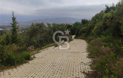 YOLA CEPHELİ PARK'A KOMŞU İMARLI ARSA