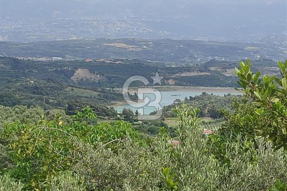 YOLA CEPHELİ PARK'A KOMŞU İMARLI ARSA