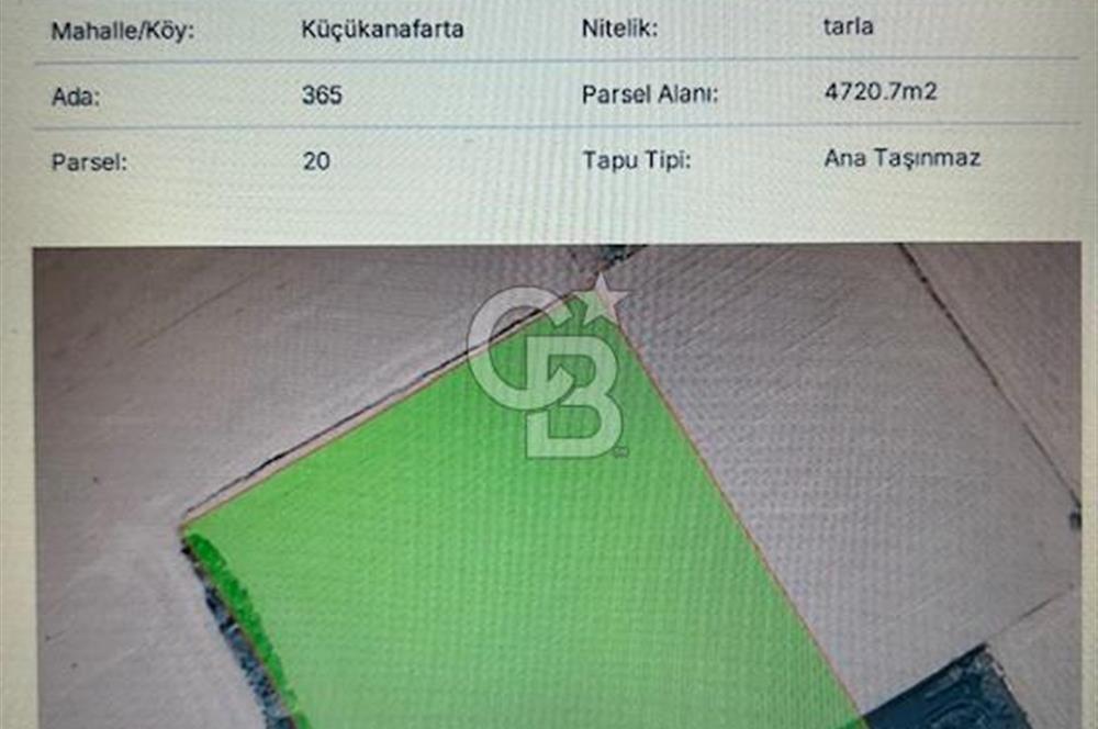 CB MARS'TAN ÇANAKKALE ECEABAT KÜÇÜKANAFARTA 'DA YATIRIMLIK TARLA