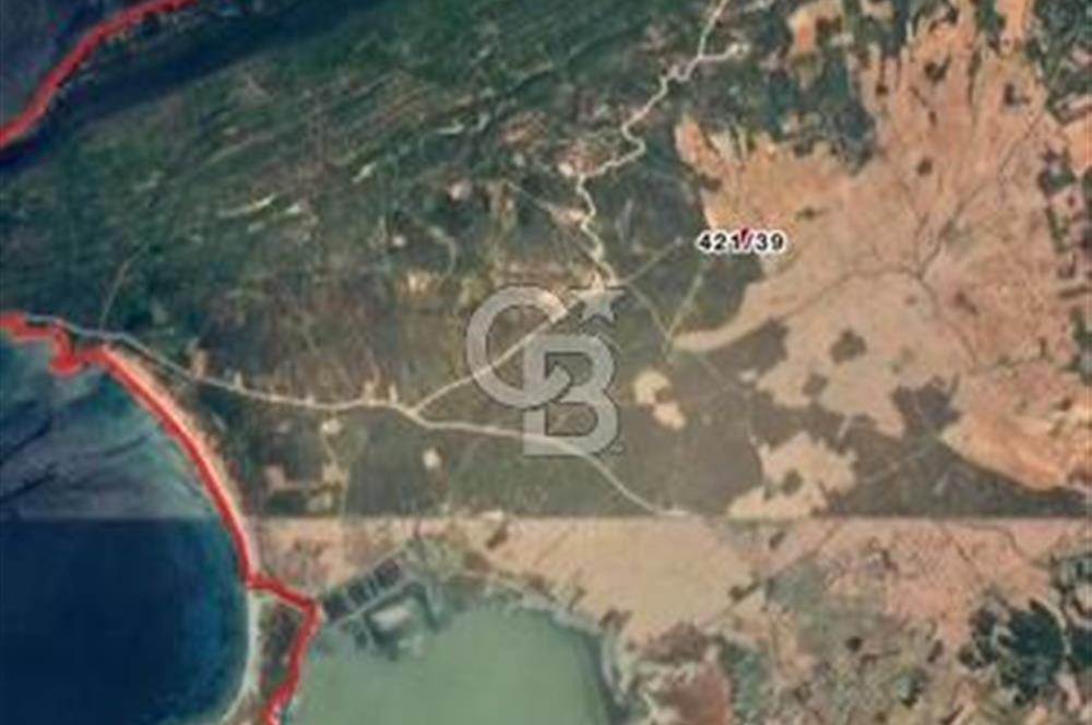 CB MARS'TAN ECEABAT TOPRAKÇI MEVKİİNDE YATIRIMLIK TARLA