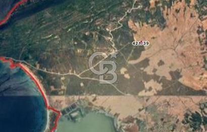 CB MARS'TAN ECEABAT TOPRAKÇI MEVKİİNDE YATIRIMLIK TARLA