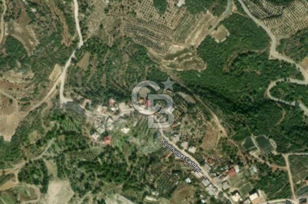 YOLA CEPHELİ PARK'A KOMŞU İMARLI ARSA