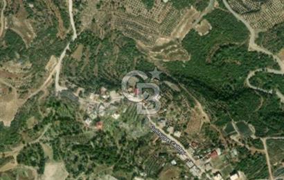 YOLA CEPHELİ PARK'A KOMŞU İMARLI ARSA