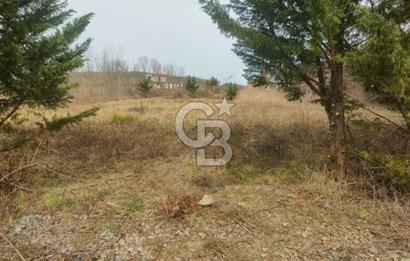 Şile Kurfallı'da 1900m² Satılık Arsa