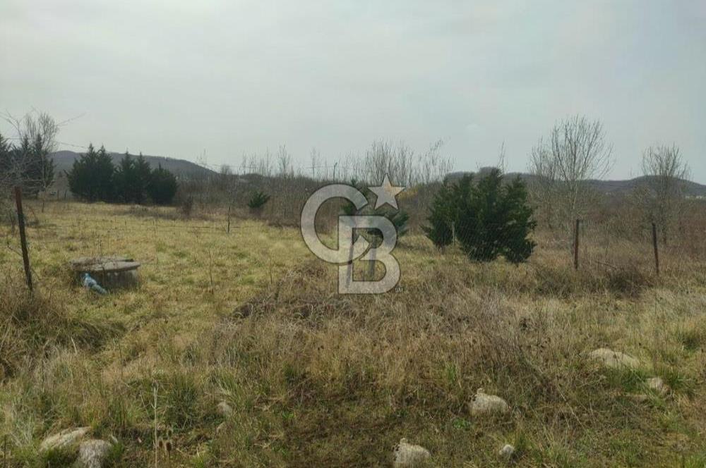 Şile Kurfallı'da 1900m² Satılık Arsa