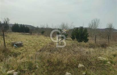 Şile Kurfallı'da 1900m² Satılık Arsa