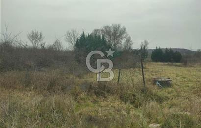 Şile Kurfallı'da 1900m² Satılık Arsa