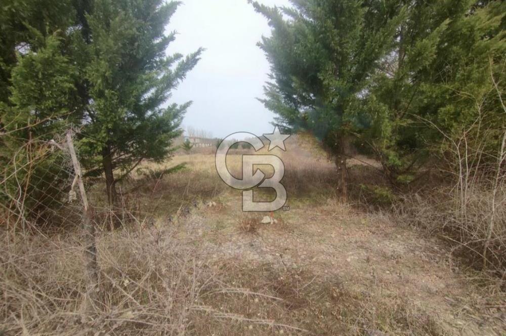 Şile Kurfallı'da 1900m² Satılık Arsa