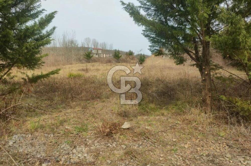 Şile Kurfallı'da 1900m² Satılık Arsa
