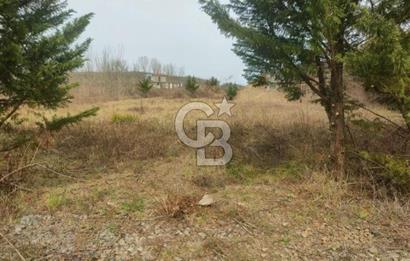 Şile Kurfallı'da 1900m² Satılık Arsa