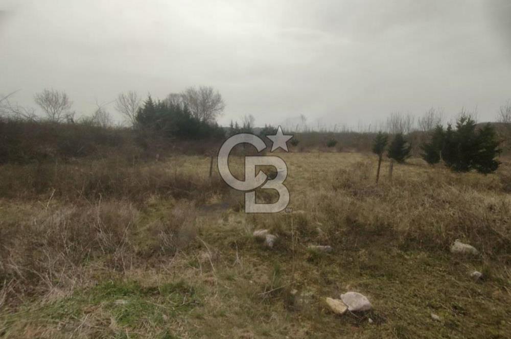Şile Kurfallı'da 1900m² Satılık Arsa