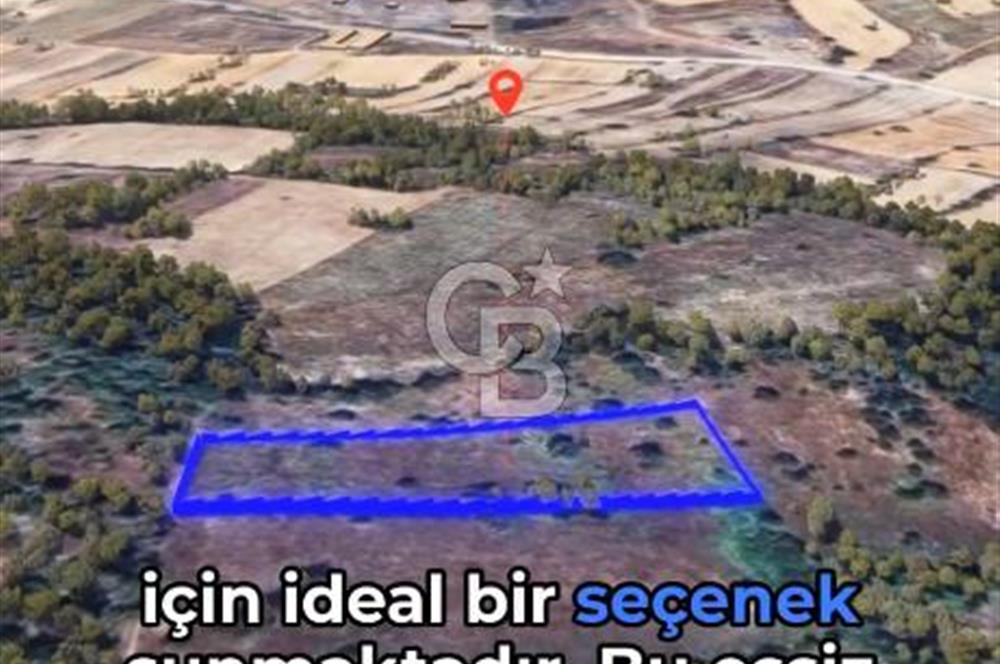 Balıkesir Dursunbey Mıcırlar'da Yatırım Fırsatı