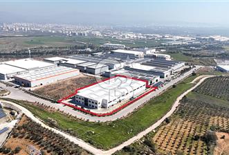 KİRALIK Fabrika İzmir Torbalı Pancar Karma OSB de