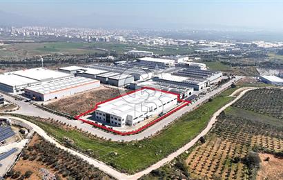 KİRALIK Fabrika İzmir Torbalı Pancar Karma OSB de